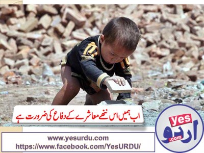 PAKISTAN NEEDS SOCIAL INEQUILITY IN SOCIETY TO DEFEND