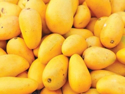 pakistans-mango-exports-are-expected-to-grow-by-one-million-tonnes