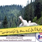 Photo Graphy Competition Wiki Loves Monoment in Pakistan started2