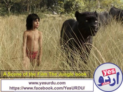 a-hollywood-film-topped-the-box-office-in-india