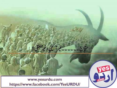 protest-un-constitutional-un-logical