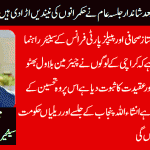 qari-farooq-ahmed-senior-leader-ppp-france