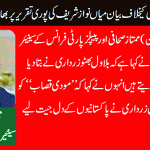 Qari Farooq Ahmed, Senior Leader, PPP, France