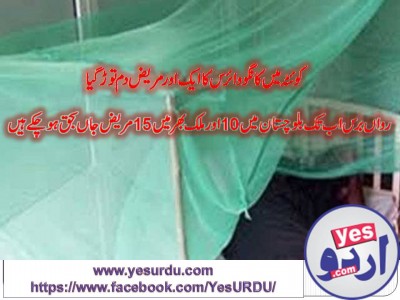 Quetta Congo affected another patient died total 10 Patient in Baluchistan and 15 patient died in whole country