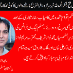 raja-ashfaq-president-pml-n-france