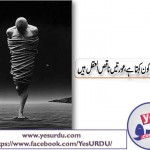 Raza Ali Abdi Article