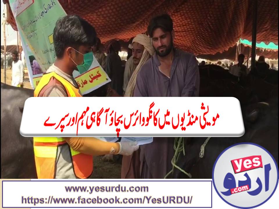 Rwp, Awareness campaign for Congo Virus in Cattle Market