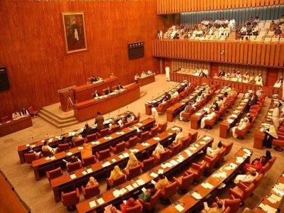 senate-committee-rejected-the-bill-to-privitise-sbp