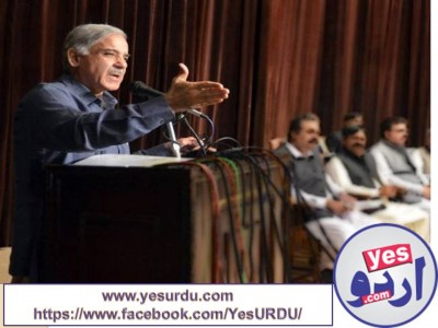 Shahbaz Sharif, no one can harm Pakistan