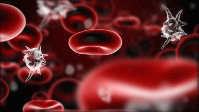 Symptoms Of Blood Poisoning