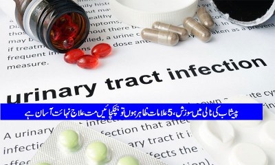 urinary-track-infection-or-inflamation-in-urinary-track