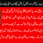 Sharief Brothers are pioneers of “Fironiat”, They shamelessly consider Protest against corruption as conspiracy , Zaheer Sati