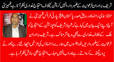 Sharief Brothers are pioneers of “Fironiat”, They shamelessly consider Protest against corruption as conspiracy , Zaheer Sati
