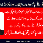 abrar-kayani-Senior-Leader-PTI-France