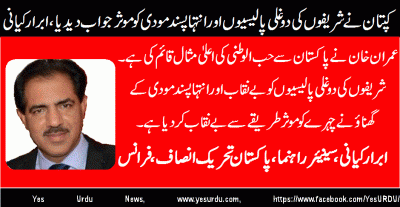 abrar-kayani-Senior-Leader-PTI-France