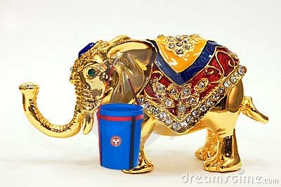 Bucket Elephent by S.M.Hasnain