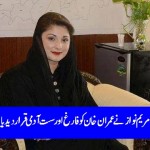 Imran Khan is an Idle, unemployed man , Maryam Nawaz