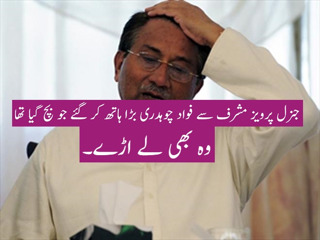 بیسٹ ٹری بیوٹ