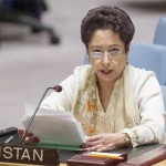 Mounting terrorism will quickly get over cancer: Maliha Lodhi