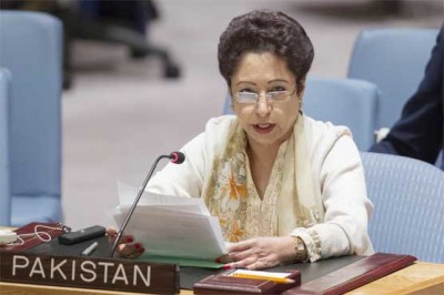 Mounting terrorism will quickly get over cancer: Maliha Lodhi
