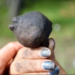 4 year old toy discovered in Siberia