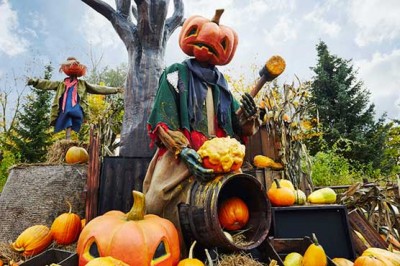 US prepares to celebrate festivals in Europe continues unabated hyluuyn