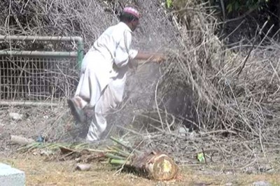 Karachi: fish and ducks at the zoo began building pool