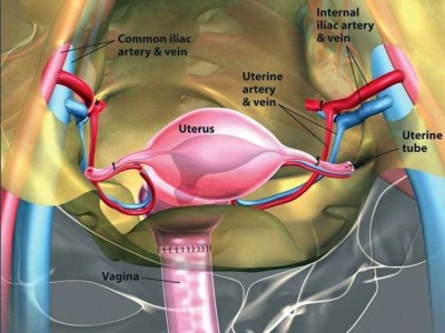 The mercy madrky the successful transition from living woman