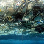 Our concept is even more garbage in the oceans, experts