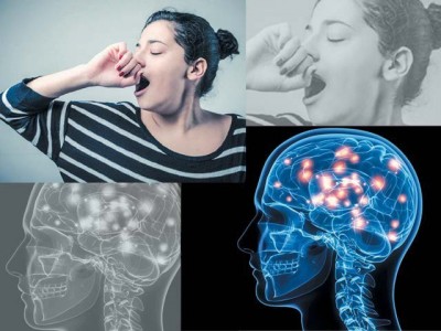 Jmahy long symbolized the brain