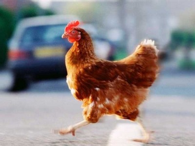 Parker prmrgy road in Scotland arrested