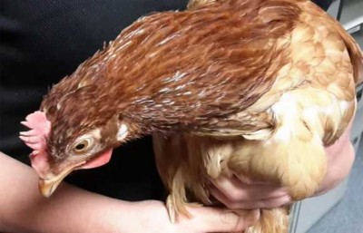 Parker prmrgy road in Scotland arrested