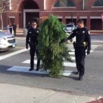 Arrested in the US runs around the tree disrupt traffic