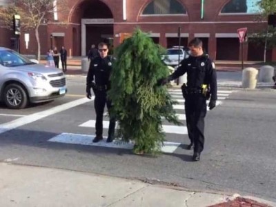Arrested in the US runs around the tree disrupt traffic