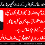 abrar-kayani-senior-leader-pti-france