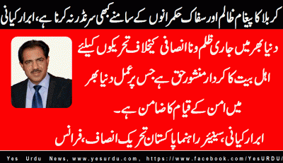 abrar-kayani-senior-leader-pti-france