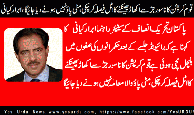 abrar-kiyani-senior-leader-pti-france