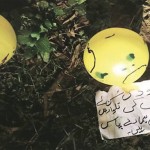 India blamed the attack on Pakistan after Balloon Pigeon