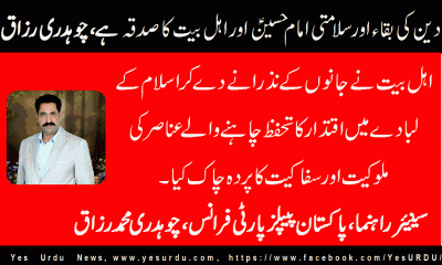 ch-muhammad-razaq-senior-leader-ppp-france