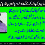 ch-naeem-gen-sec-pml-n-azad-kashmir