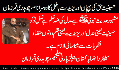 ch-qamar-zaman-senior-leader-ppp-beljium