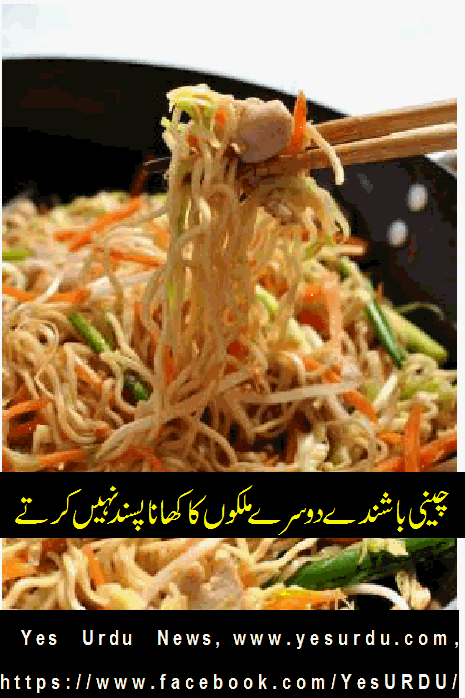 chinese-people-like-to-eat-noodles-in-foreign-countries