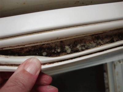 Learn What the nasty stuff in your home