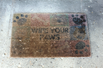 Learn What the nasty stuff in your home