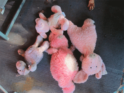 Learn What the nasty stuff in your home