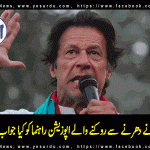 The Opposition leaders who trying To stop protest against corruption are corrupt their selvers, Imran Khan