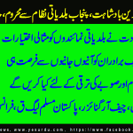 javed-sidhwal-Cheif-Organizwer-PML-Q-France