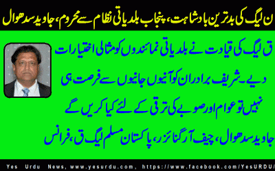 javed-sidhwal-Cheif-Organizwer-PML-Q-France