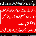 malik-saeed-senior-leader-pti-france