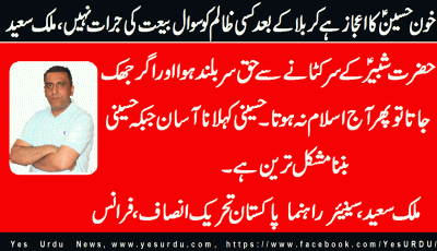 malik-saeed-senior-leader-pti-france